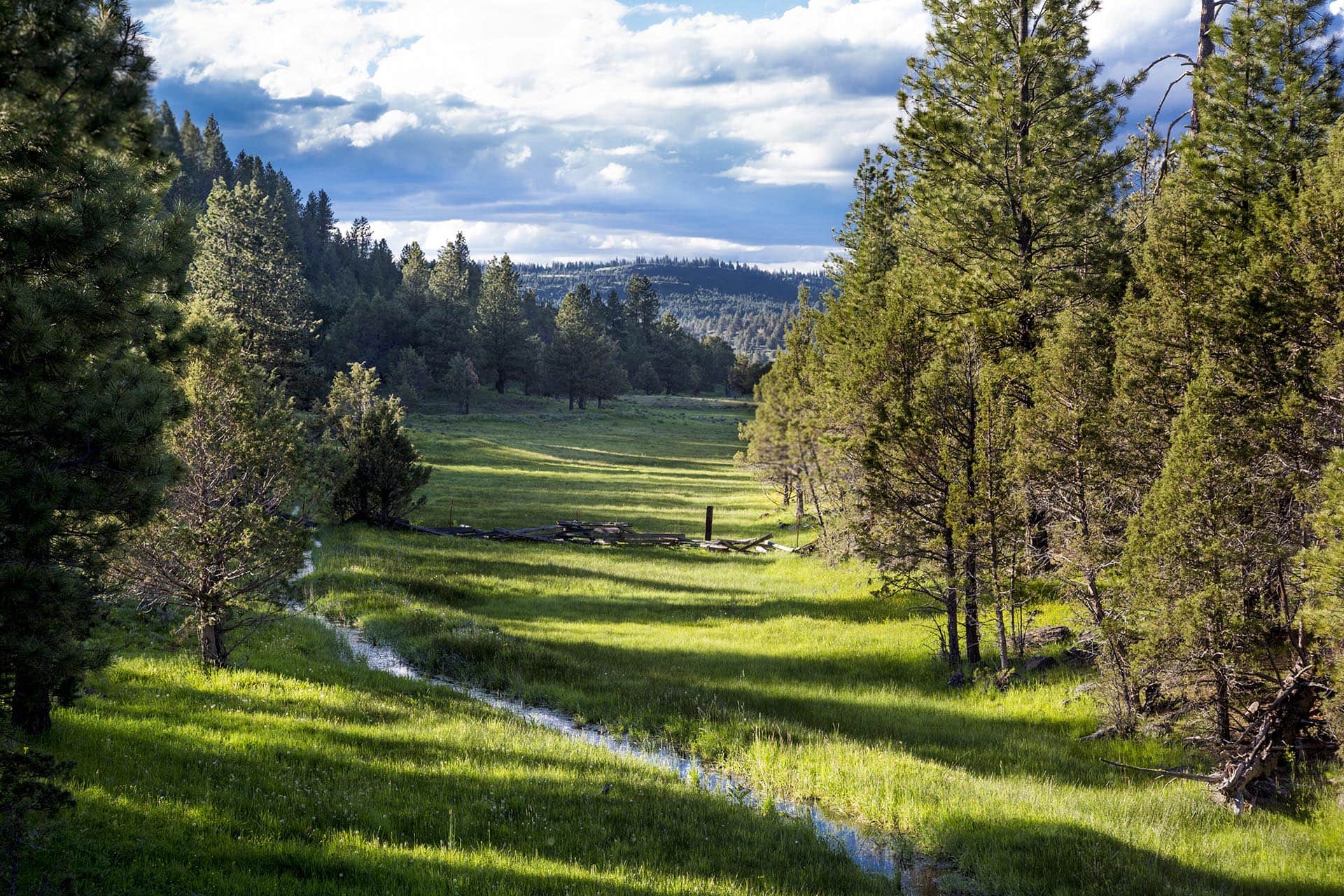 creek from Lapham oregon aspen ridge ranch