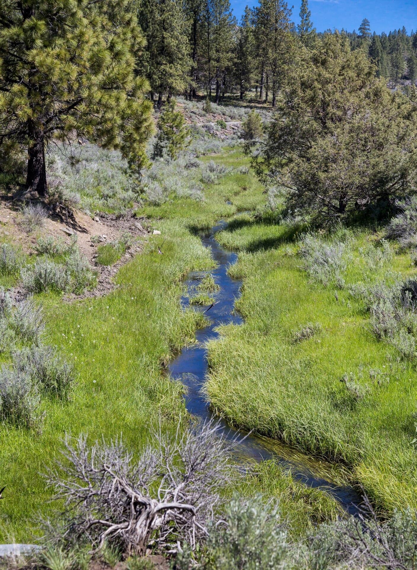 creek on ranch property oregon aspen ridge ranch