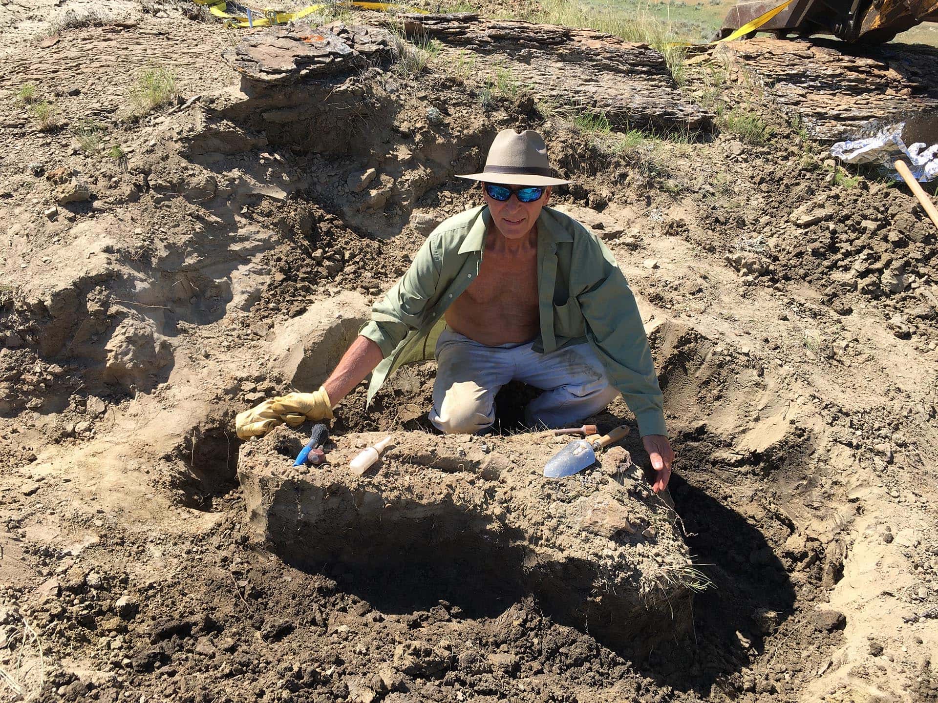 dinosaur fossils montana over the cliff ranch