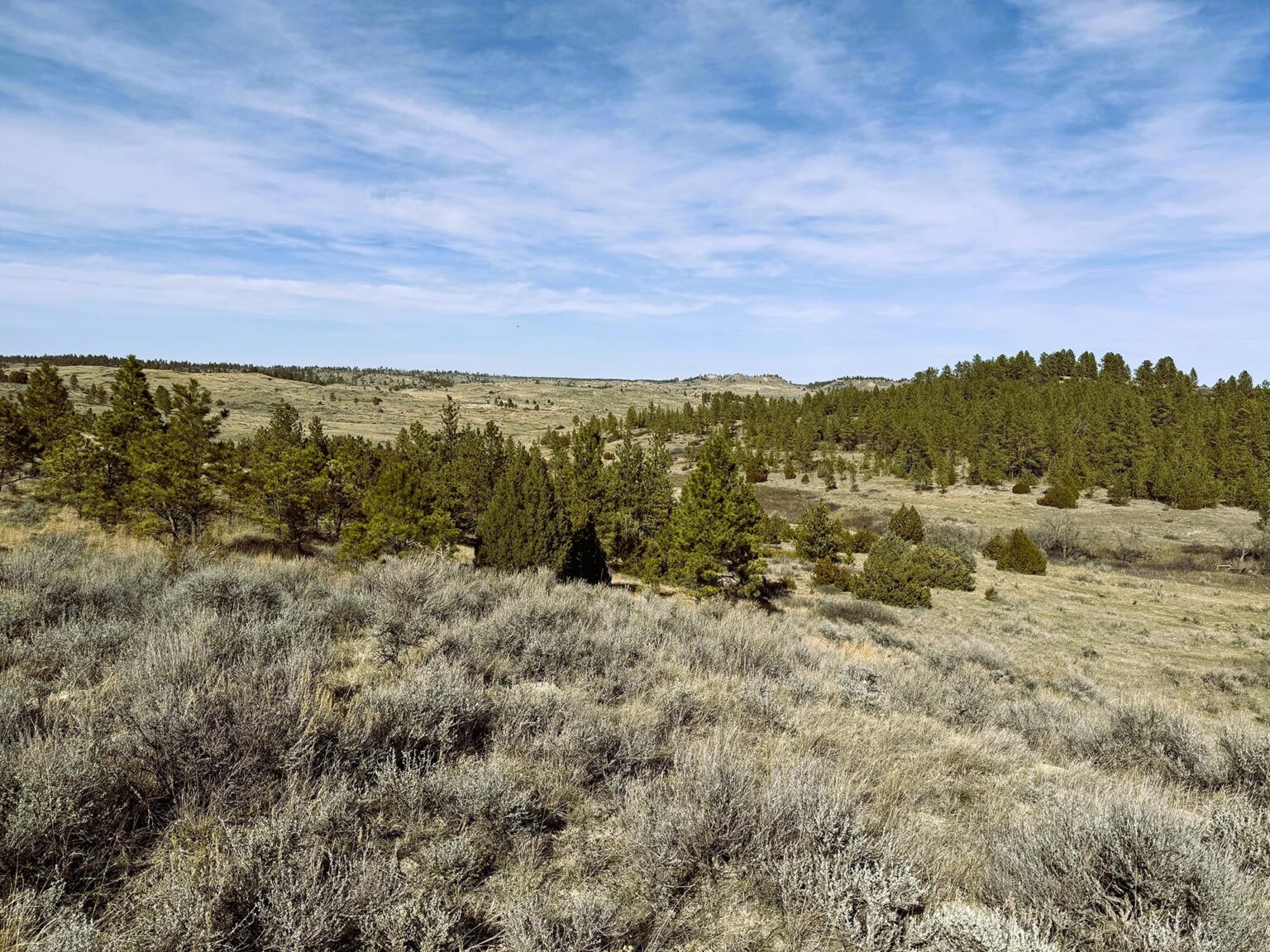 Legacy 551 Ranch | Volborg, Montana | Fay Ranches