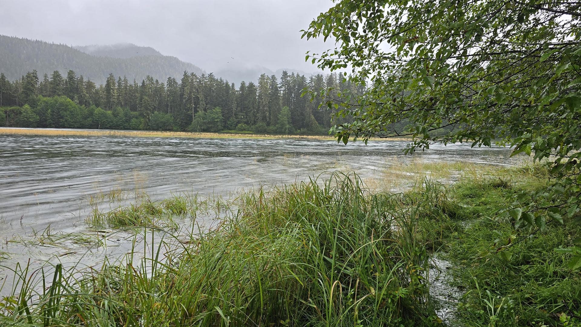 eco adventure alaska hasselborg homestead