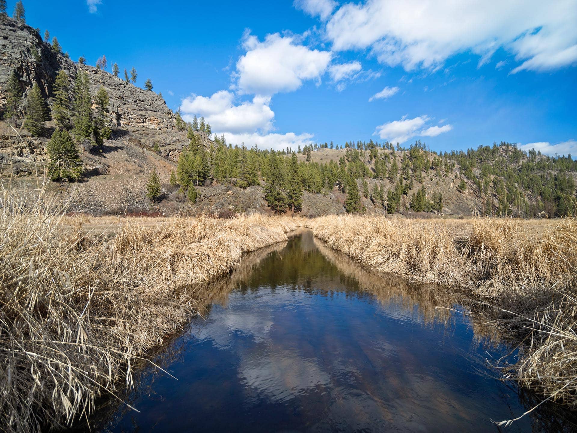 equestrian ranch Washington state Washington ranch at Lost Creek