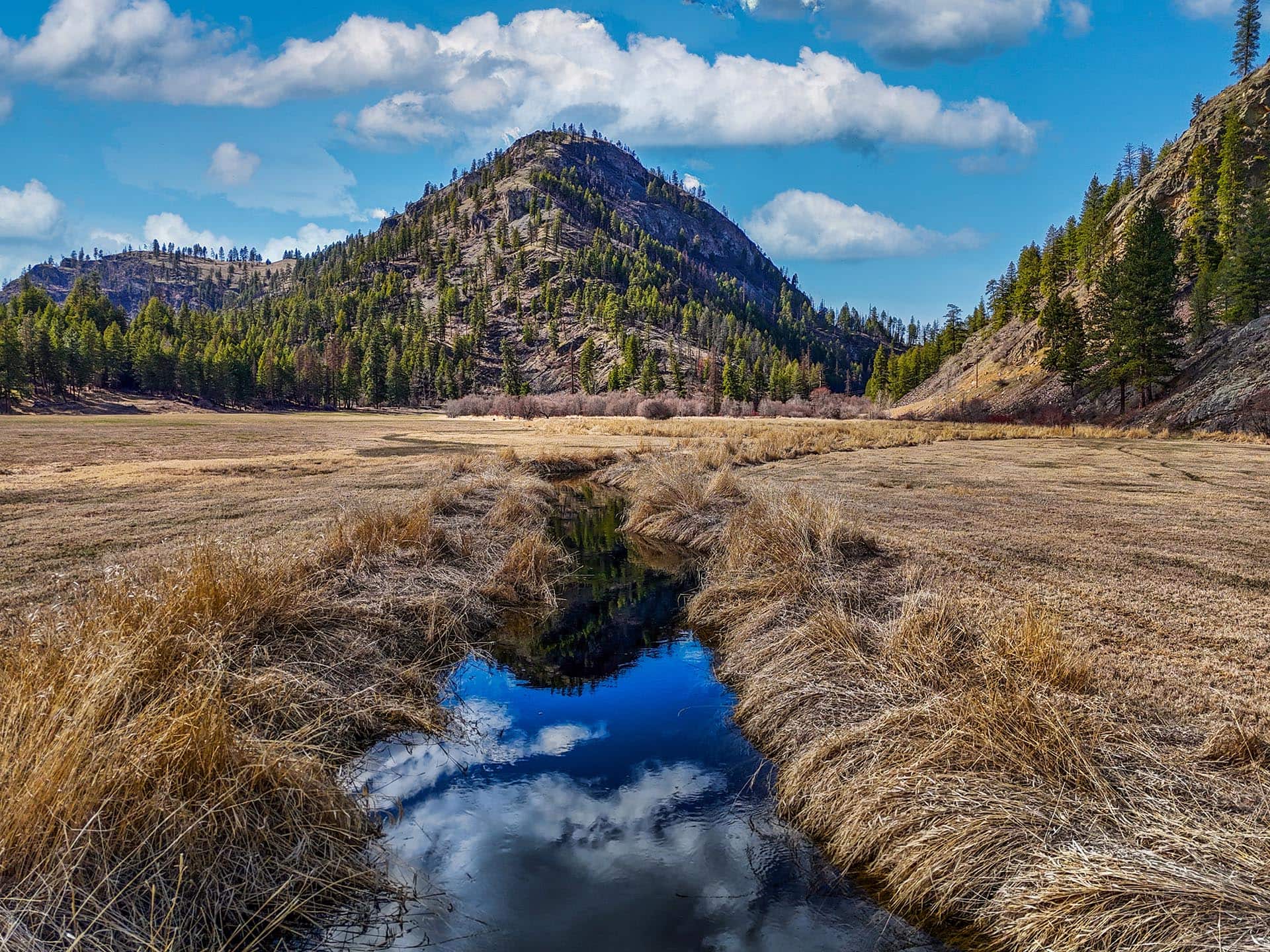 expansive ranch property washington ranch at lost creek