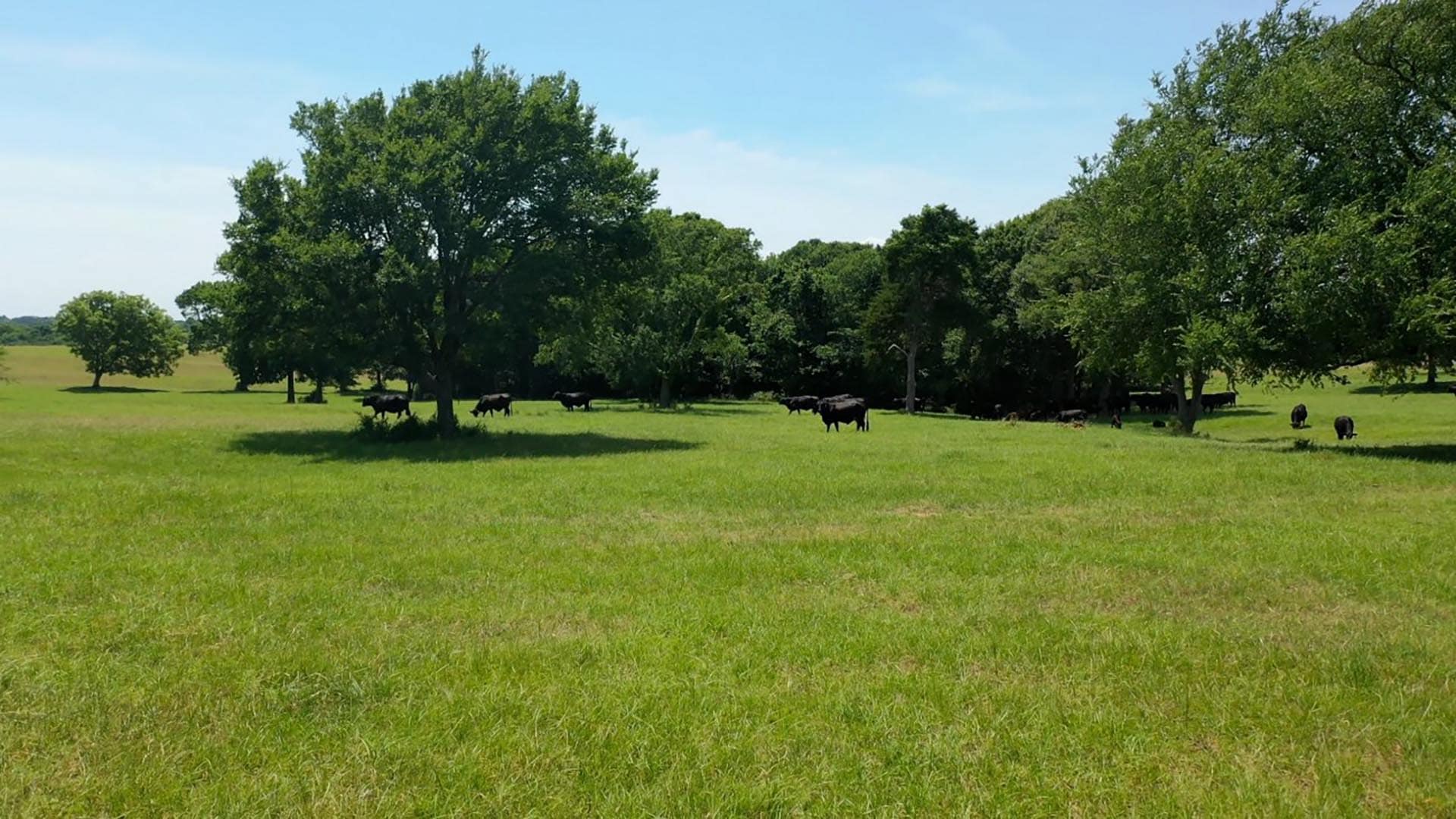 fenced garden orchard texas whitehall ranch