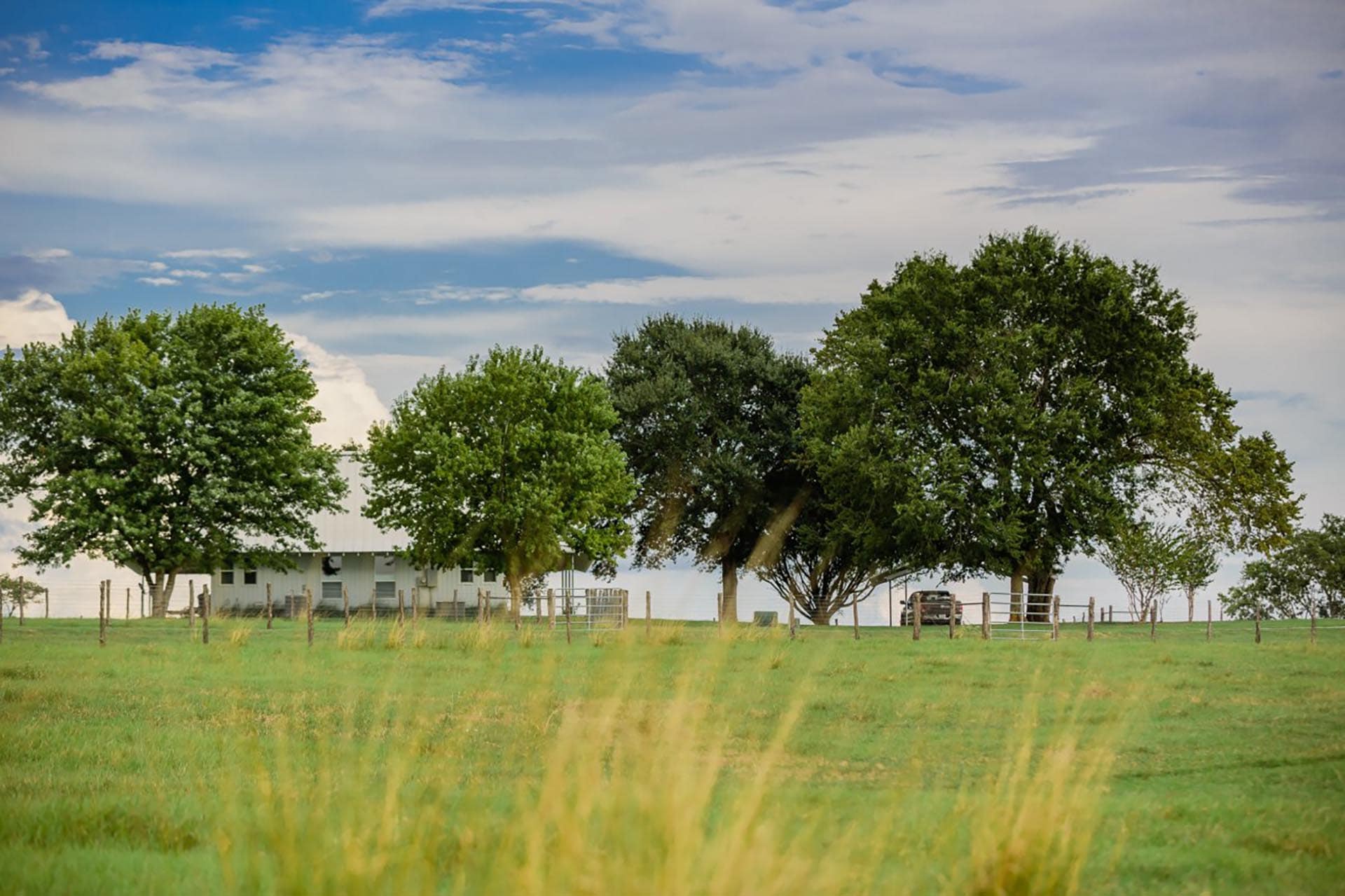 grimes county ranch for sale texas whitehall ranch