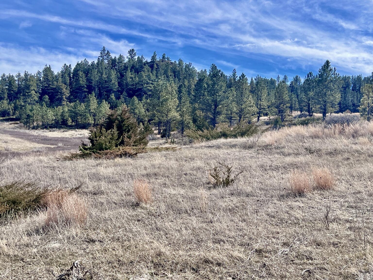 Legacy 551 Ranch | Volborg, Montana | Fay Ranches