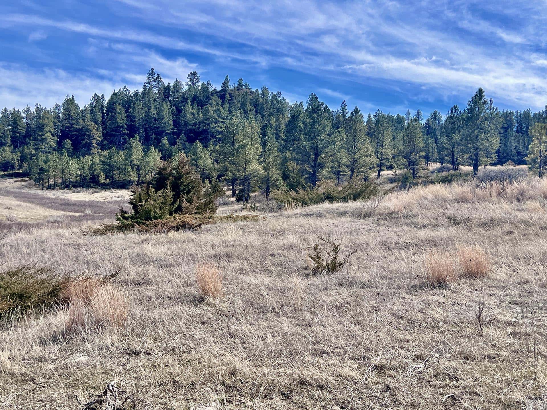 grouse hunting montana legacy 551 ranch