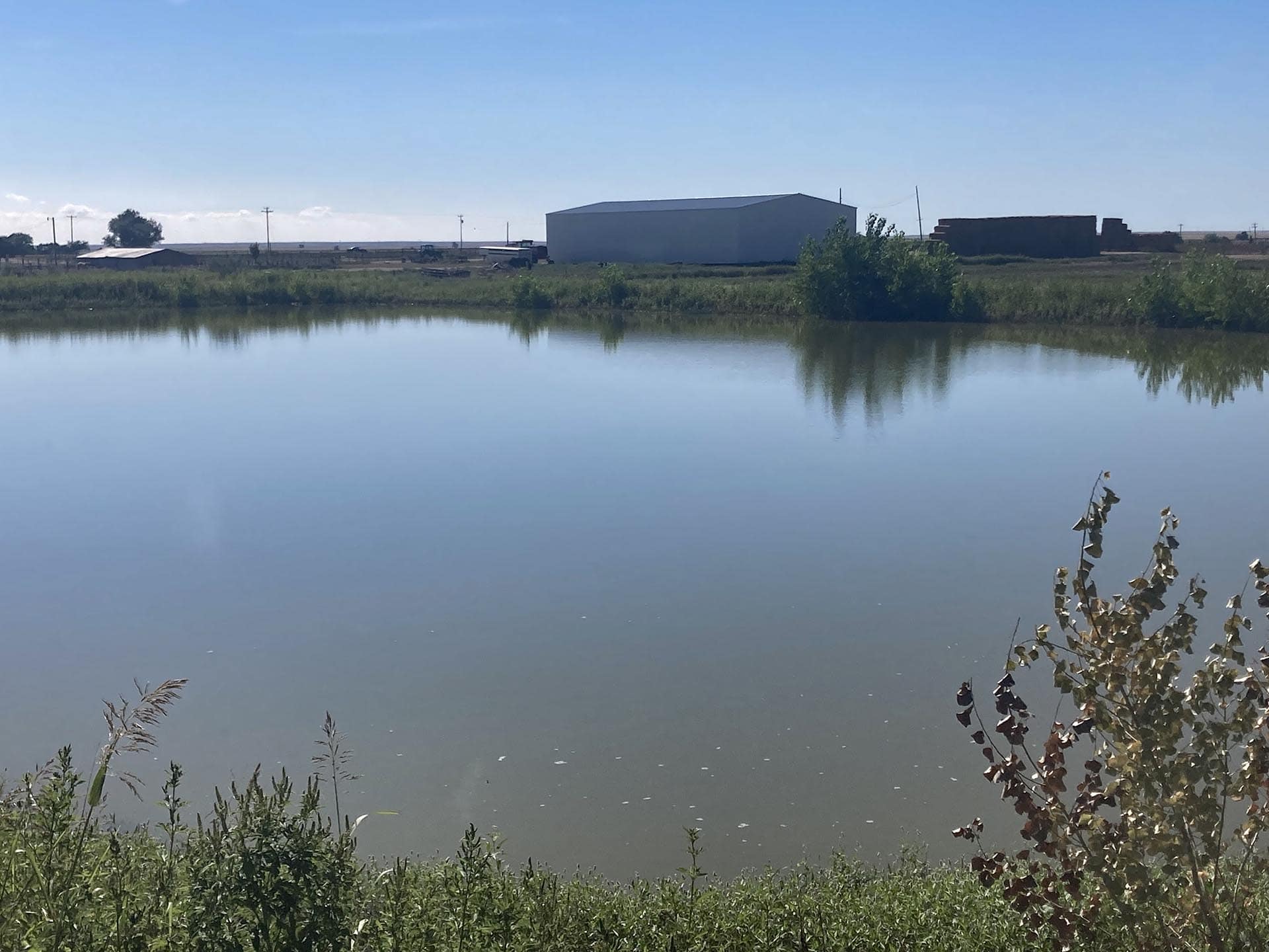 hay and cattle farm Colorado South Swink Farm Grow Yard