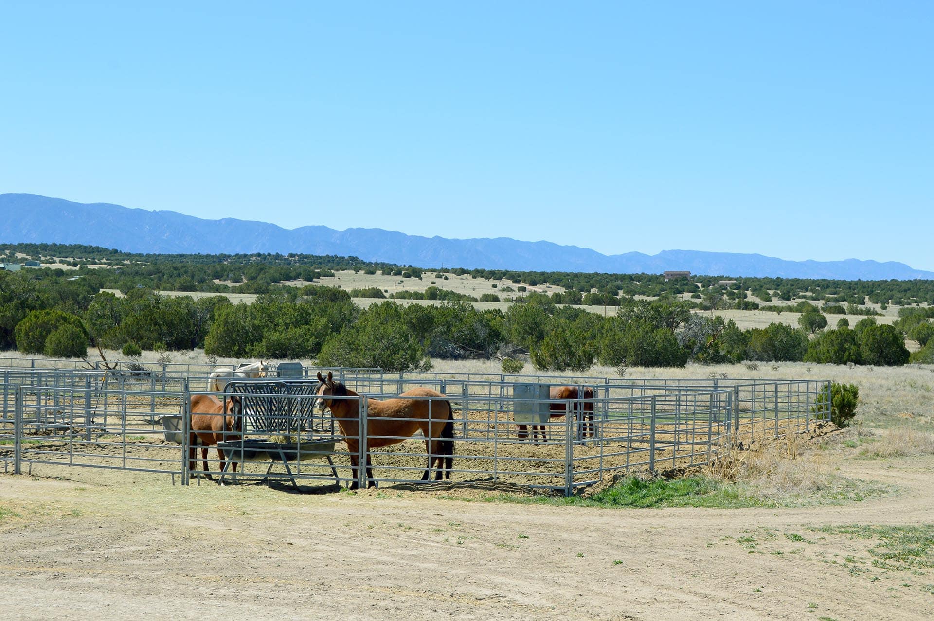 horse boarding property colorado arrowwood ranch