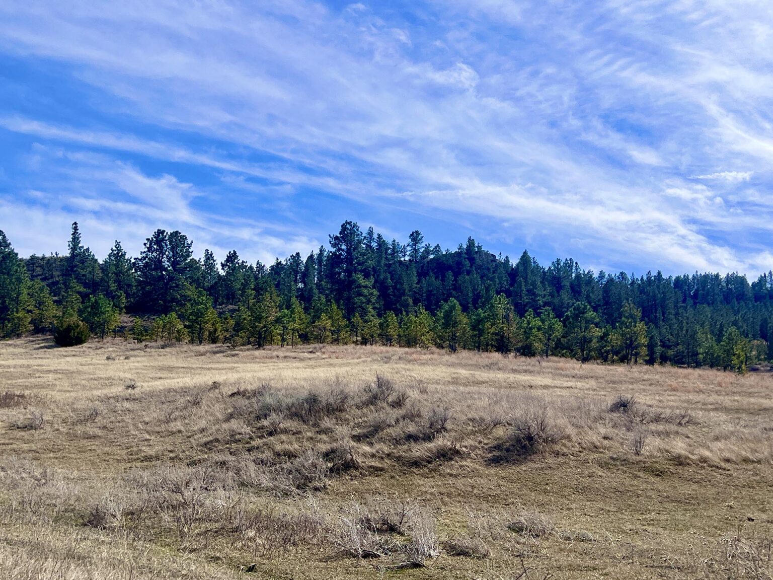 Legacy 551 Ranch | Volborg, Montana | Fay Ranches