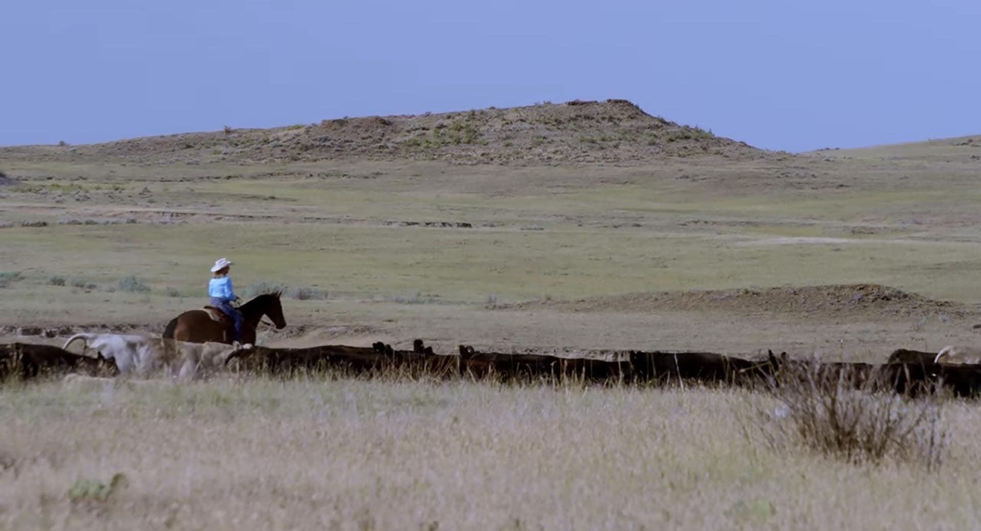 horseback riding montana over the cliff ranch on little porcupine creek
