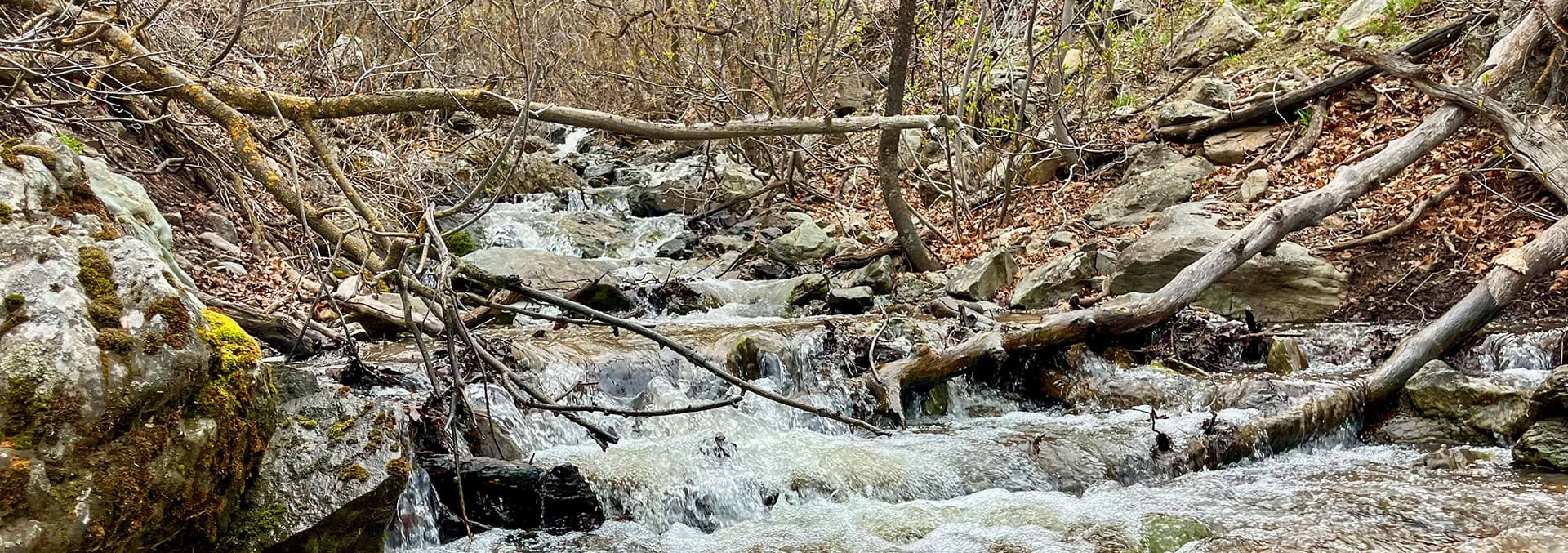 idaho land for sale the davis lodge at loafer creek falls