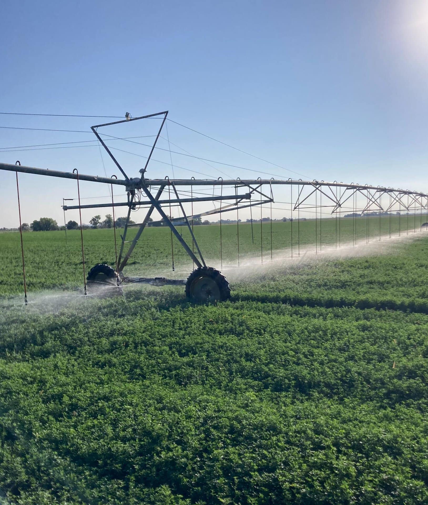 irrigation pond and water shares Colorado South Swink Farm Grow Yard