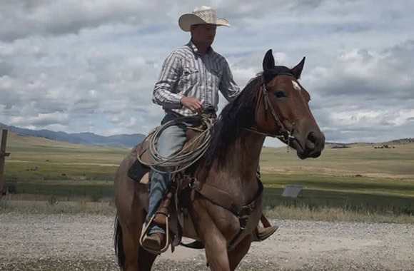 jeremy richardson social media coordinator horseback riding