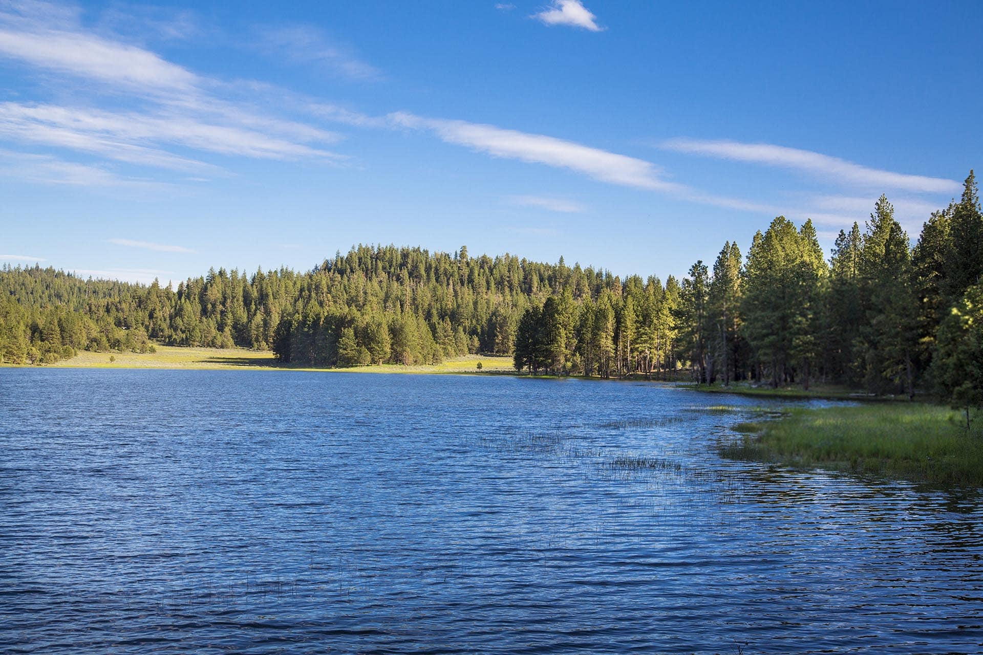 lake surrounded by forest oregon aspen ridge ranch