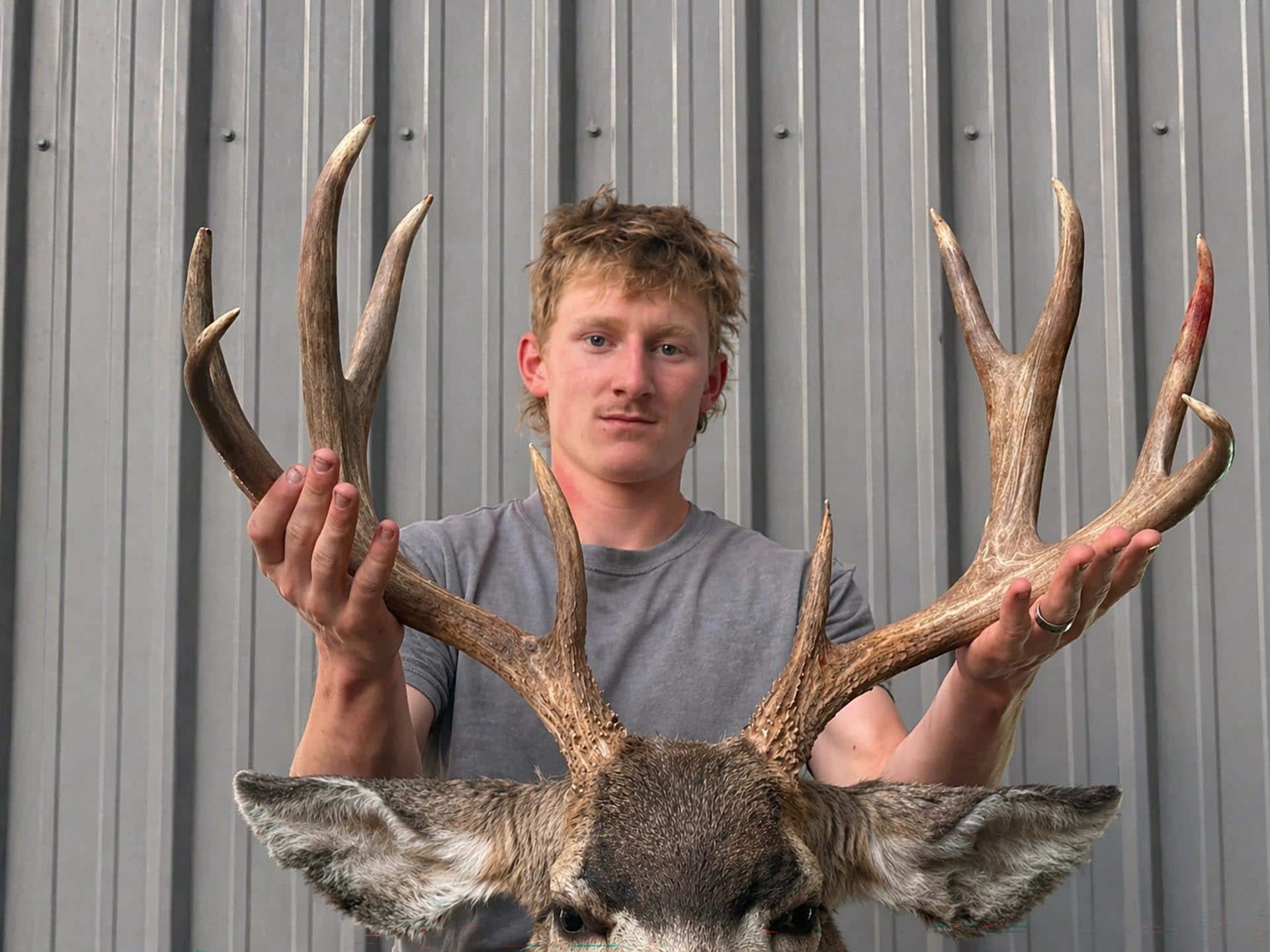large deer antlers Idaho the davis lodge at loafer creek falls
