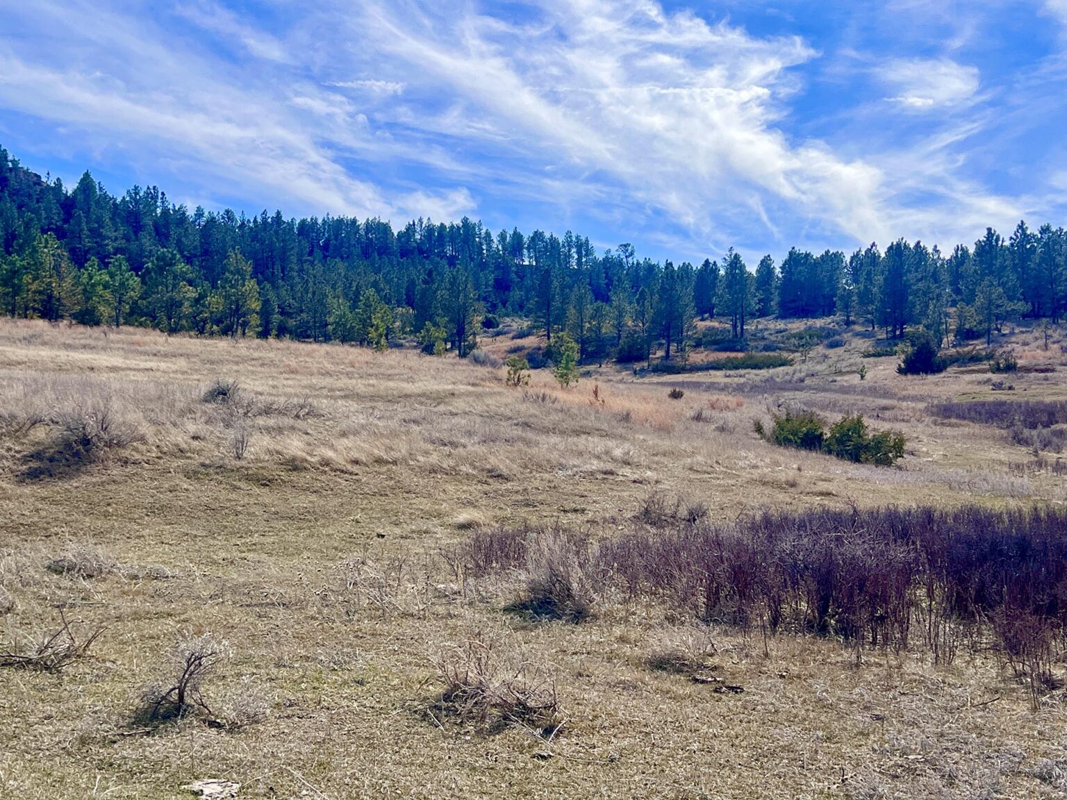 Legacy 551 Ranch | Volborg, Montana | Fay Ranches
