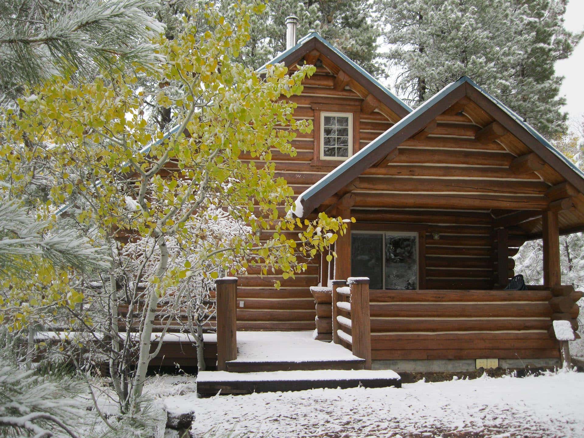 log cabin in winter snow forest oregon aspen ridge ranch