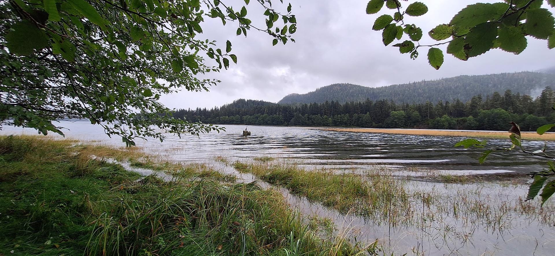 midnight sun alaska hasselborg homestead