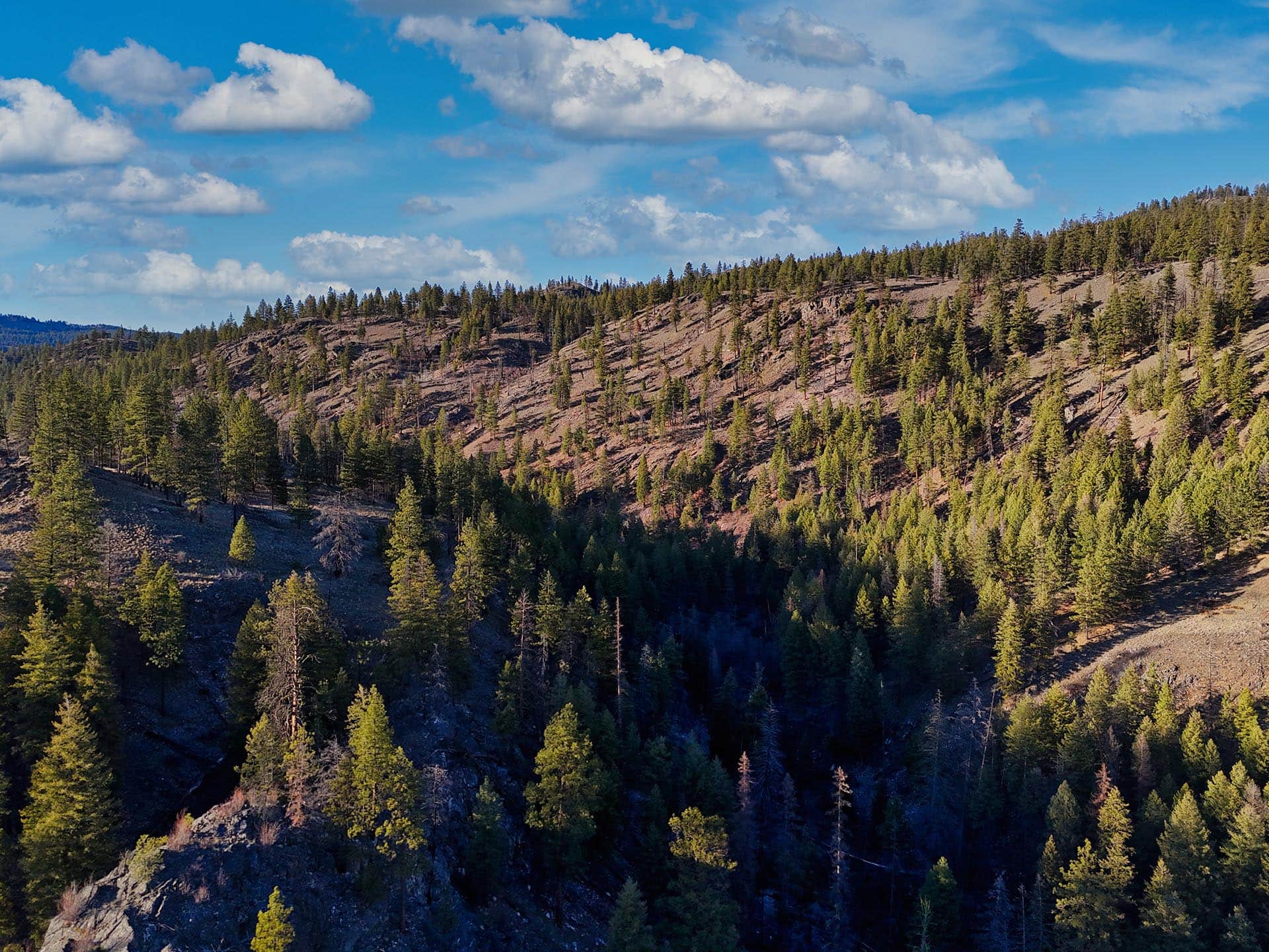 mixed use ranch land washington ranch at lost creek