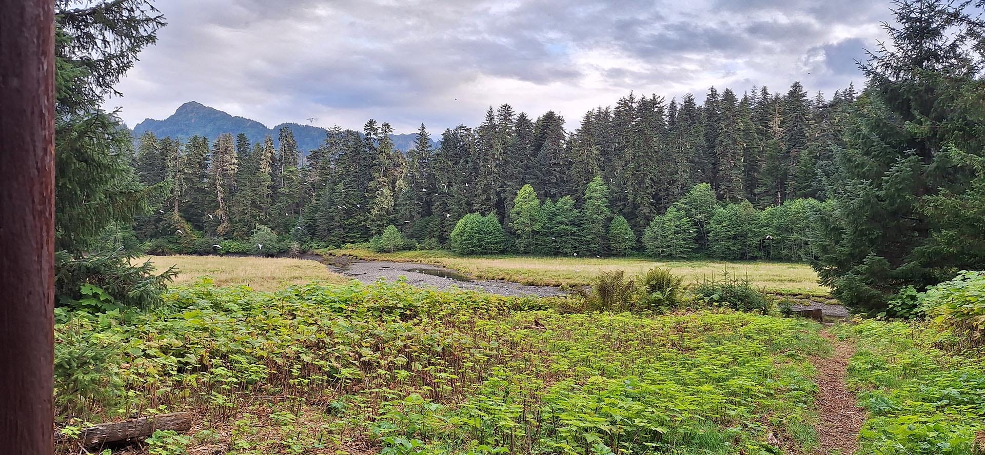 mole harbor meadow alaska hasselborg homestead
