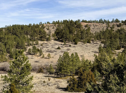 montana hunting property for sale legacy 551 ranch