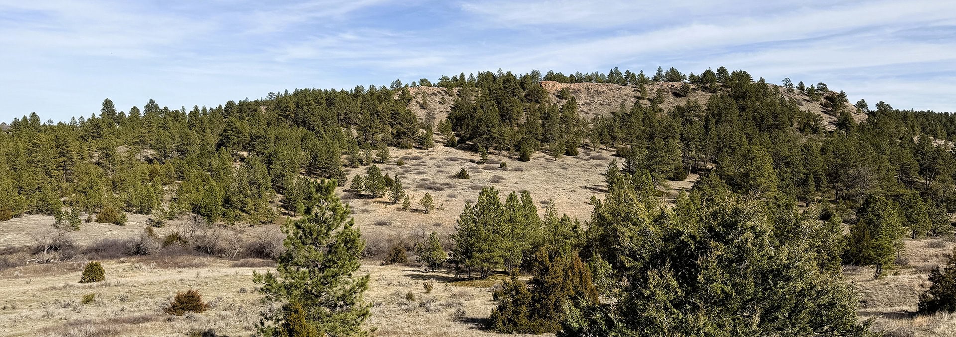 montana hunting property for sale legacy 551 ranch