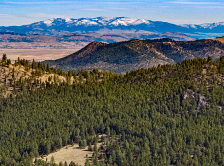 montana land for sale Elk Ridge Wilderness Retreat