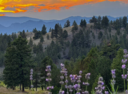 montana land for sale elk ridge mountain ranch