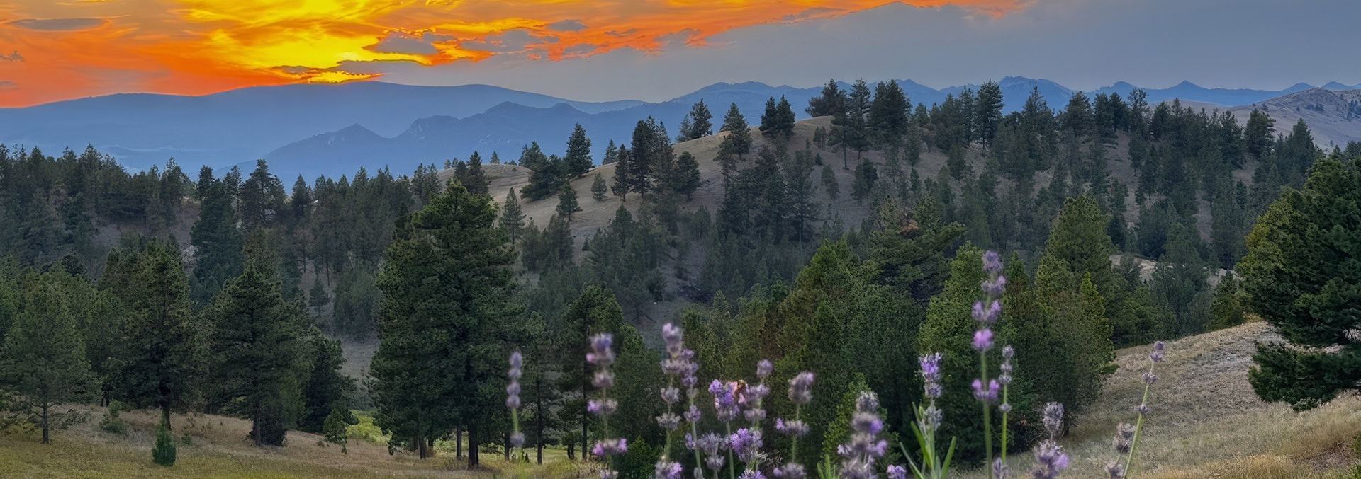 montana land for sale elk ridge mountain ranch