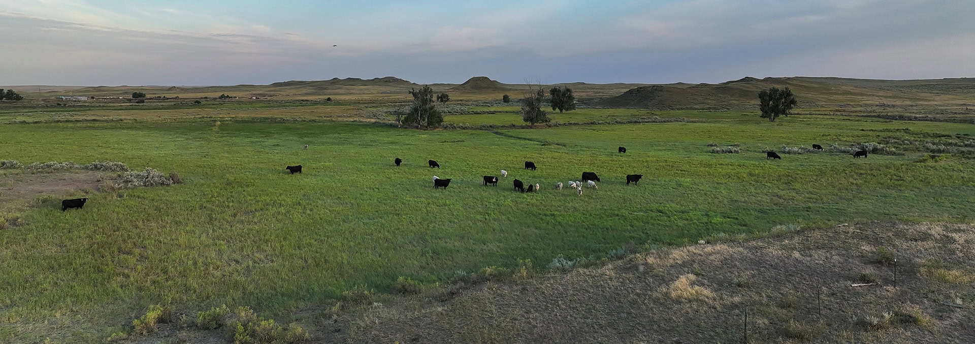 montana property for sale over the cliff ranch on little porcupine creek