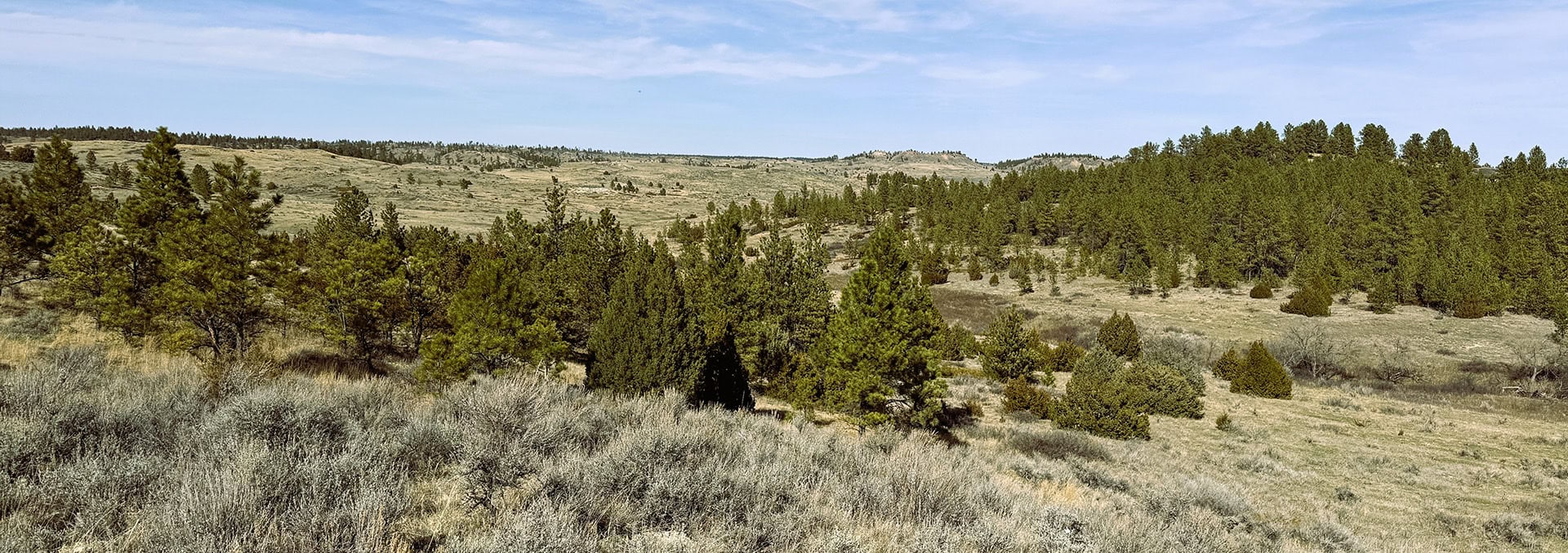 montana ranch for sale legacy 551 ranch