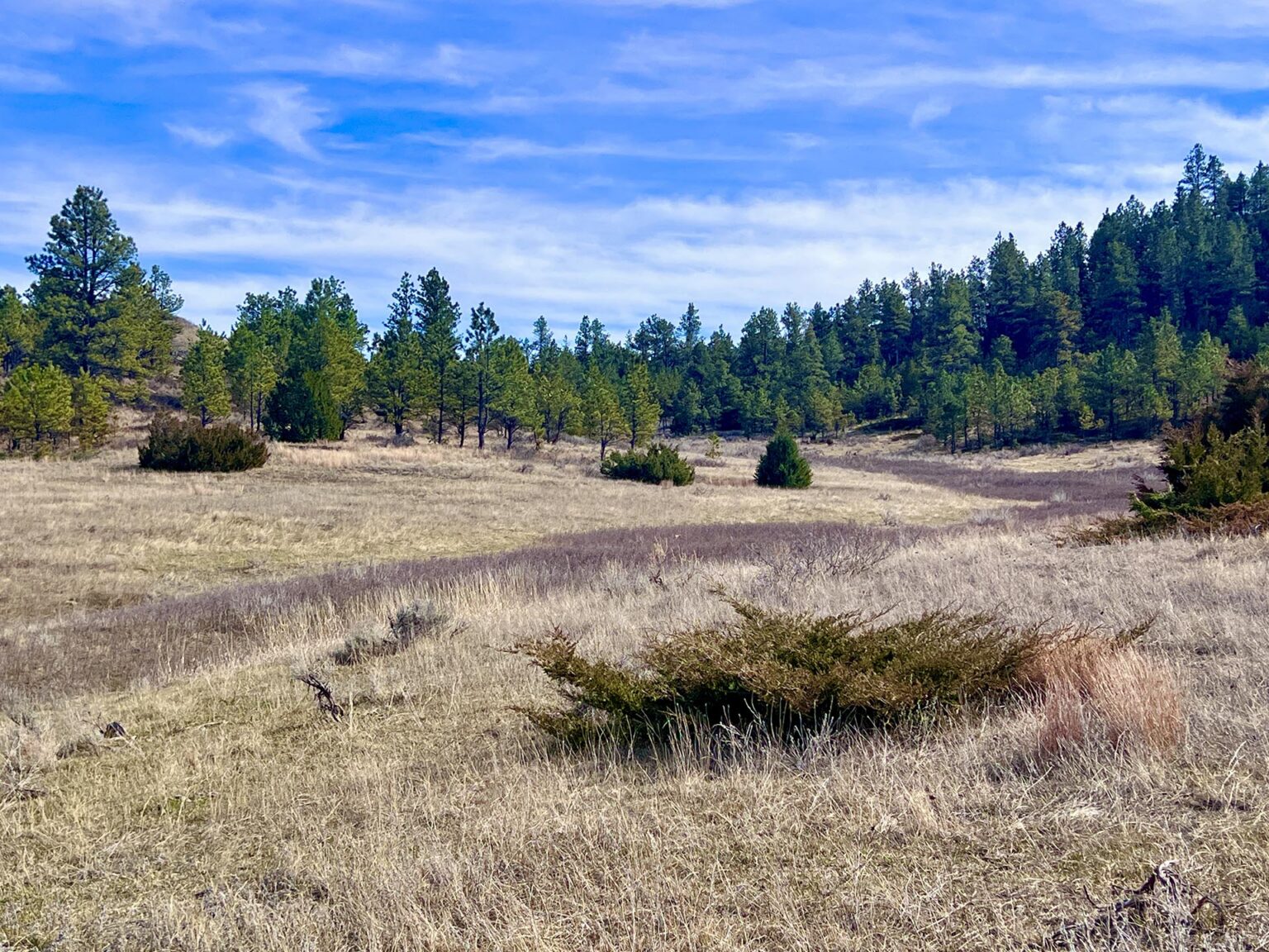 Legacy 551 Ranch | Volborg, Montana | Fay Ranches