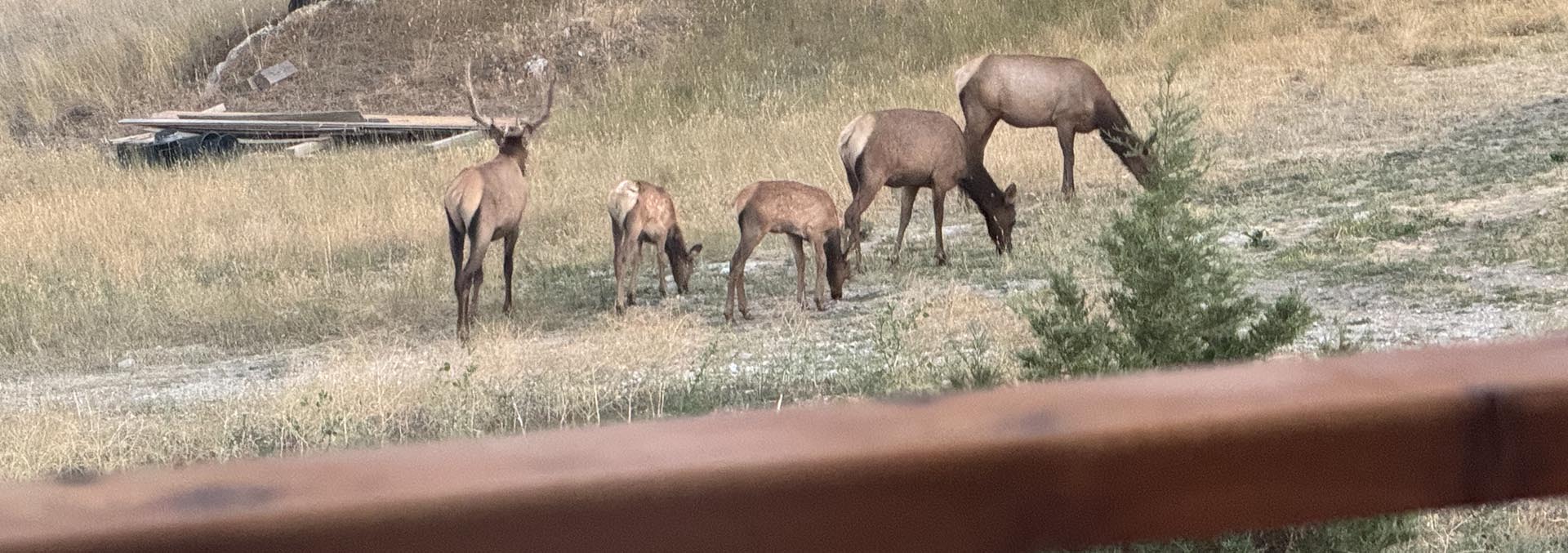 montana ranches for sale elk ridge wilderness retreat