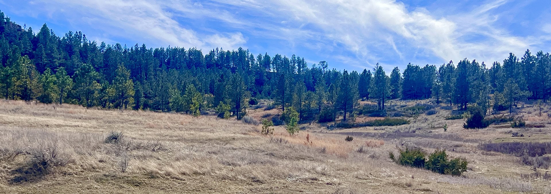 montana land for sale legacy 551 ranch