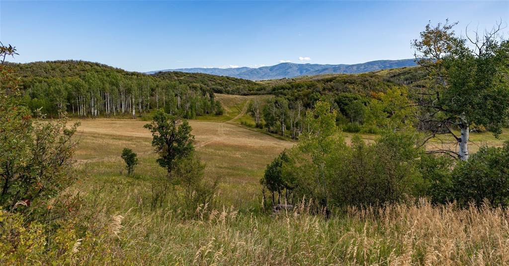 mountain ranch suitable for equestrian use Colorado Skistone Mountain Ranch