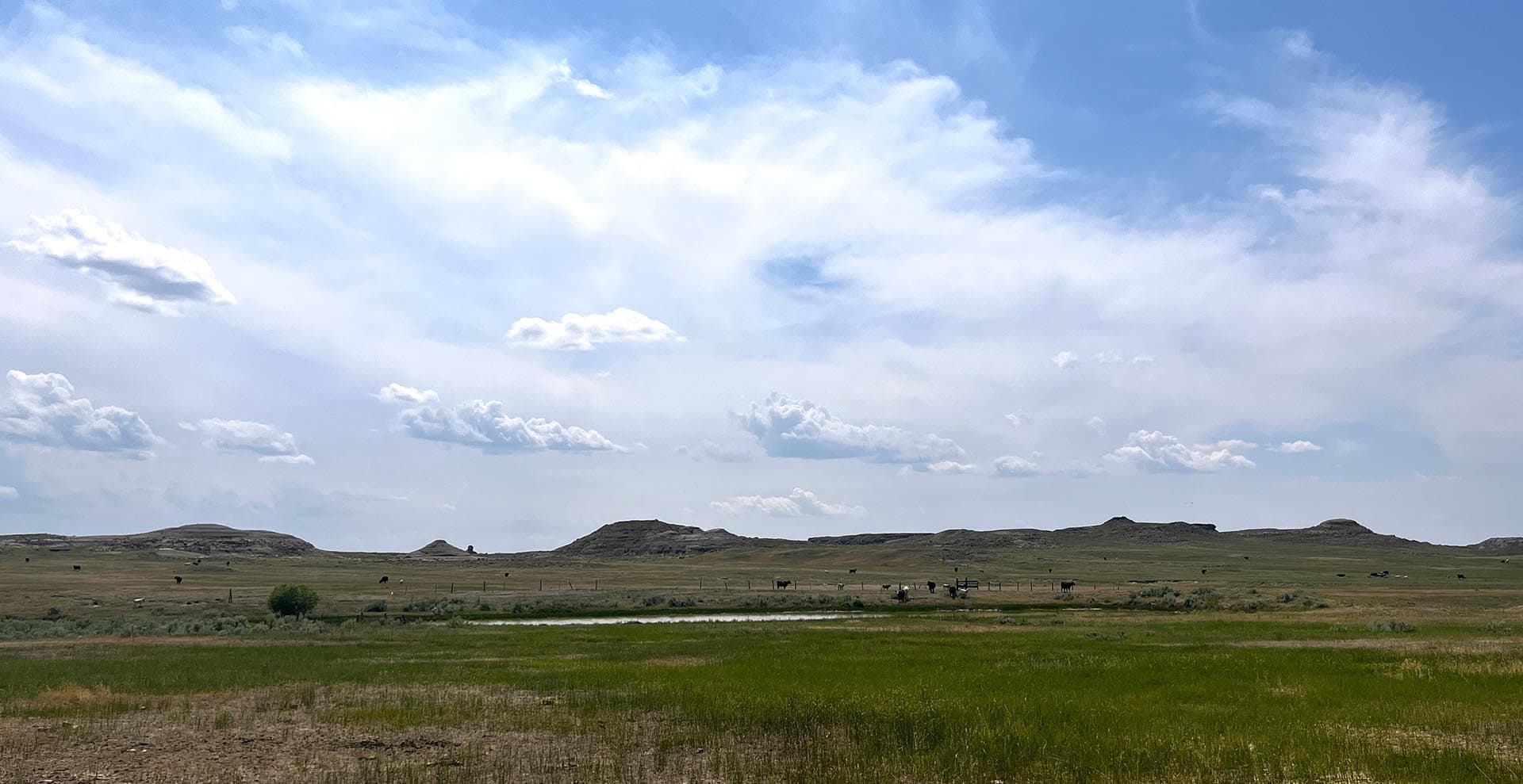mule deer hunting montana over the cliff ranch on little porcupine creek