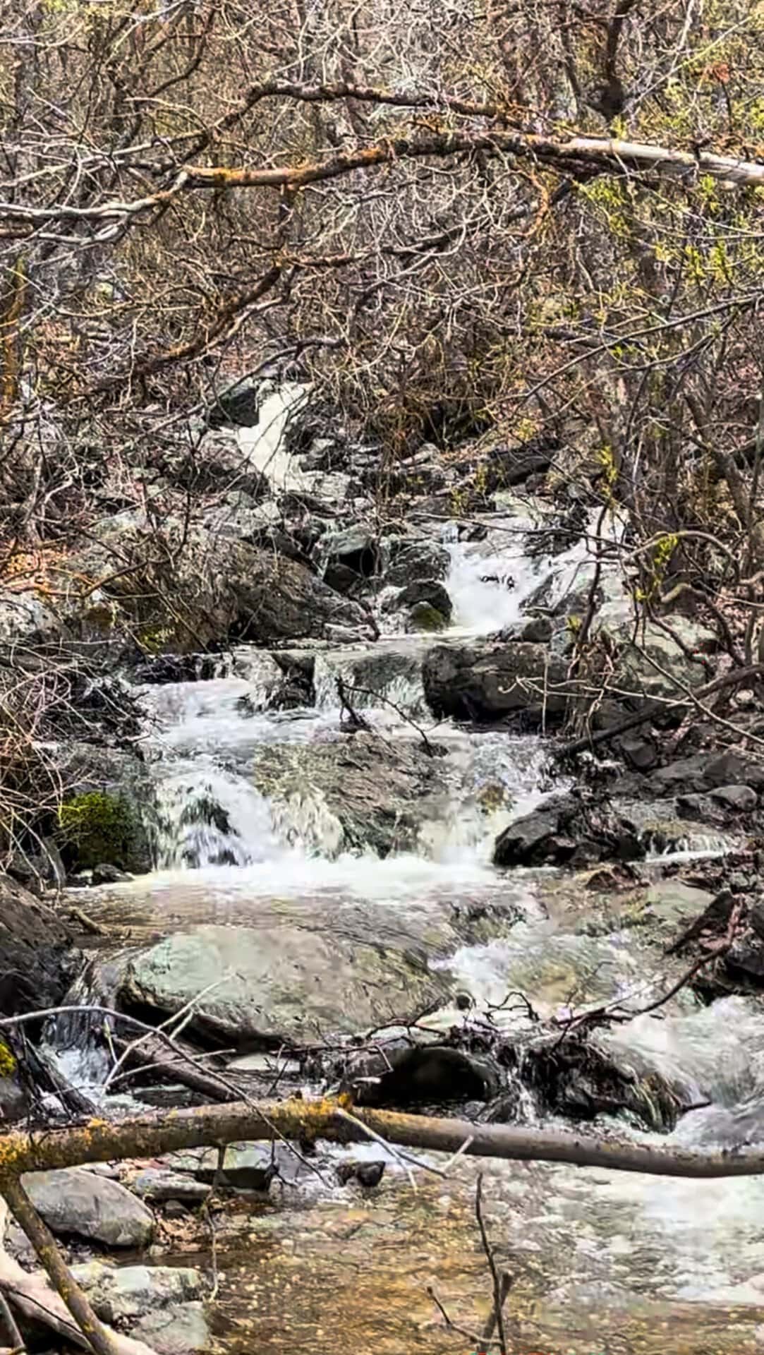 natural waterfall land for sale Idaho the davis lodge at loafer creek falls