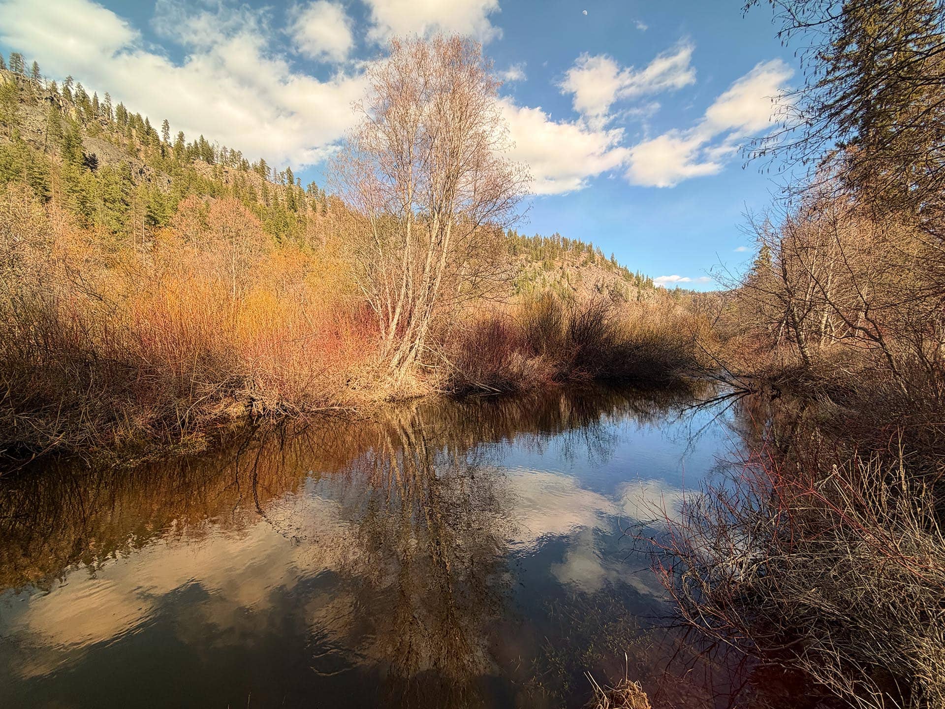 off grid potential ranch Washington ranch at Lost Creek