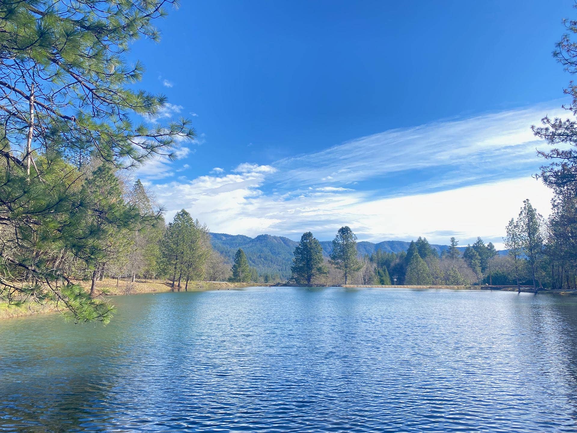 pacific northwest luxury estate oregon the bird estate