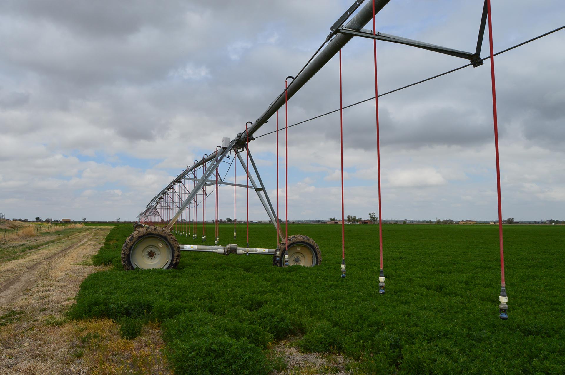 pipe pens and cattle chute Colorado South Swink Farm Grow Yard
