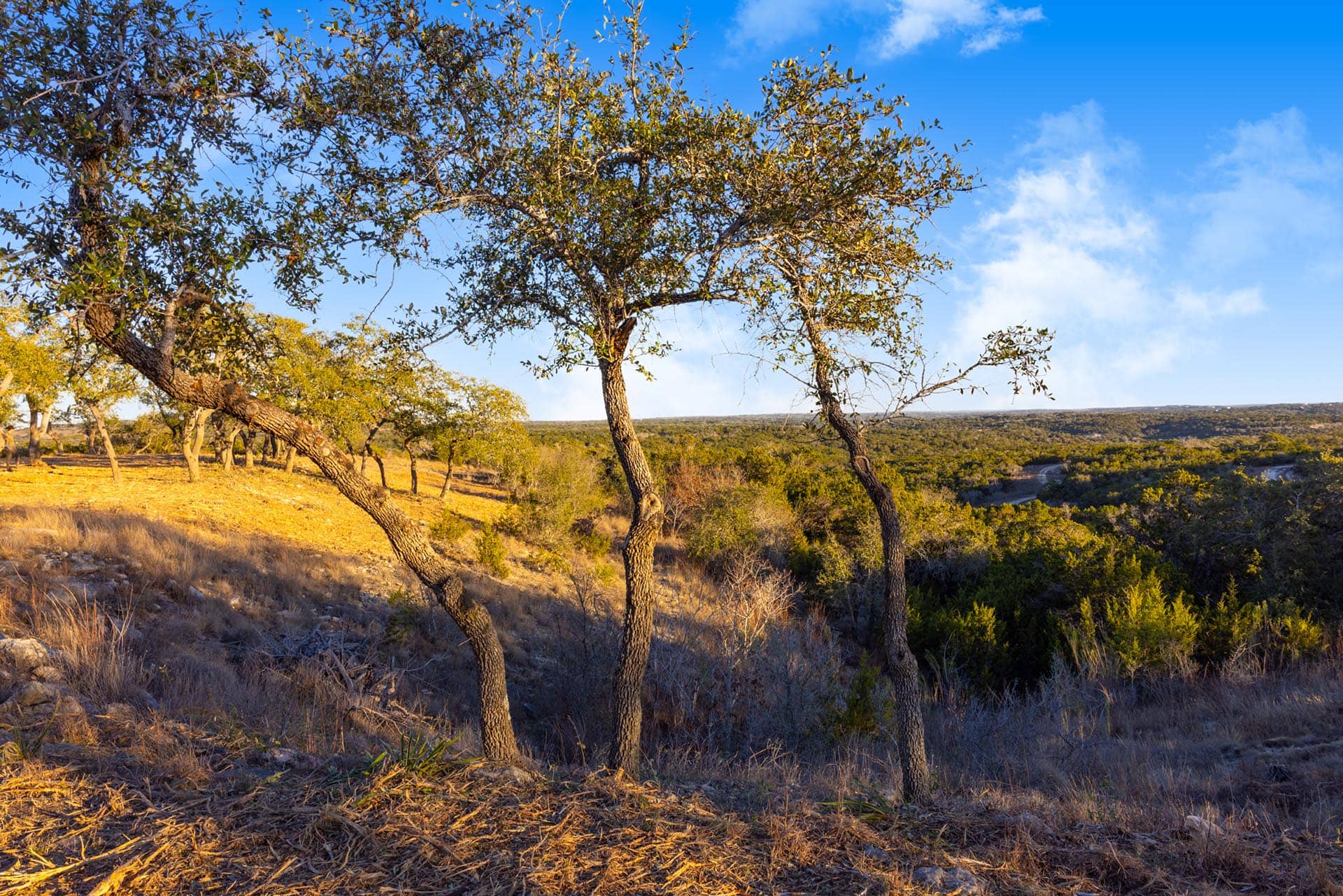 ranch land with elevation in Texas Lone Woman Mountain Ranch