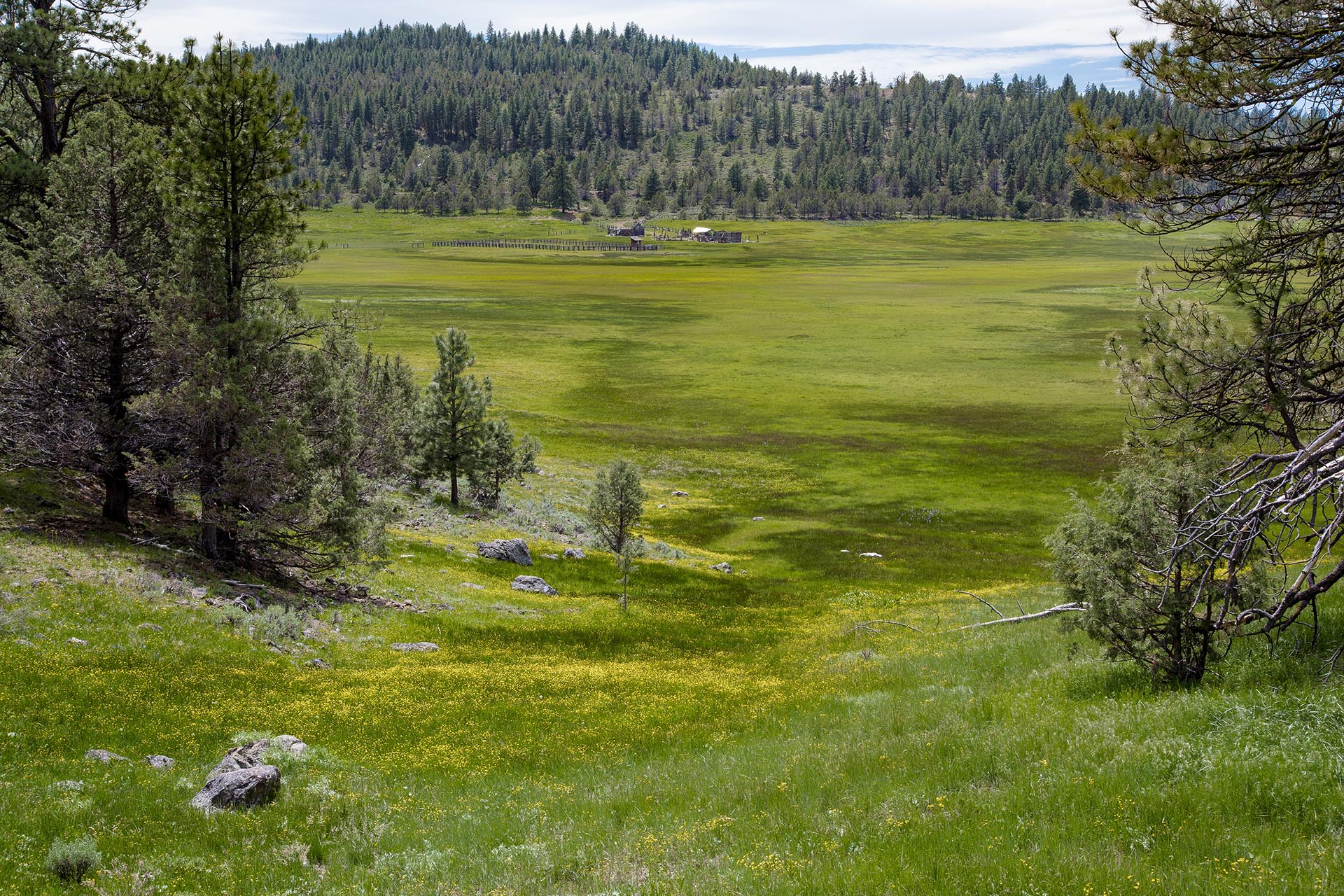 ranch valley landscape with forest oregon aspen ridge ranch
