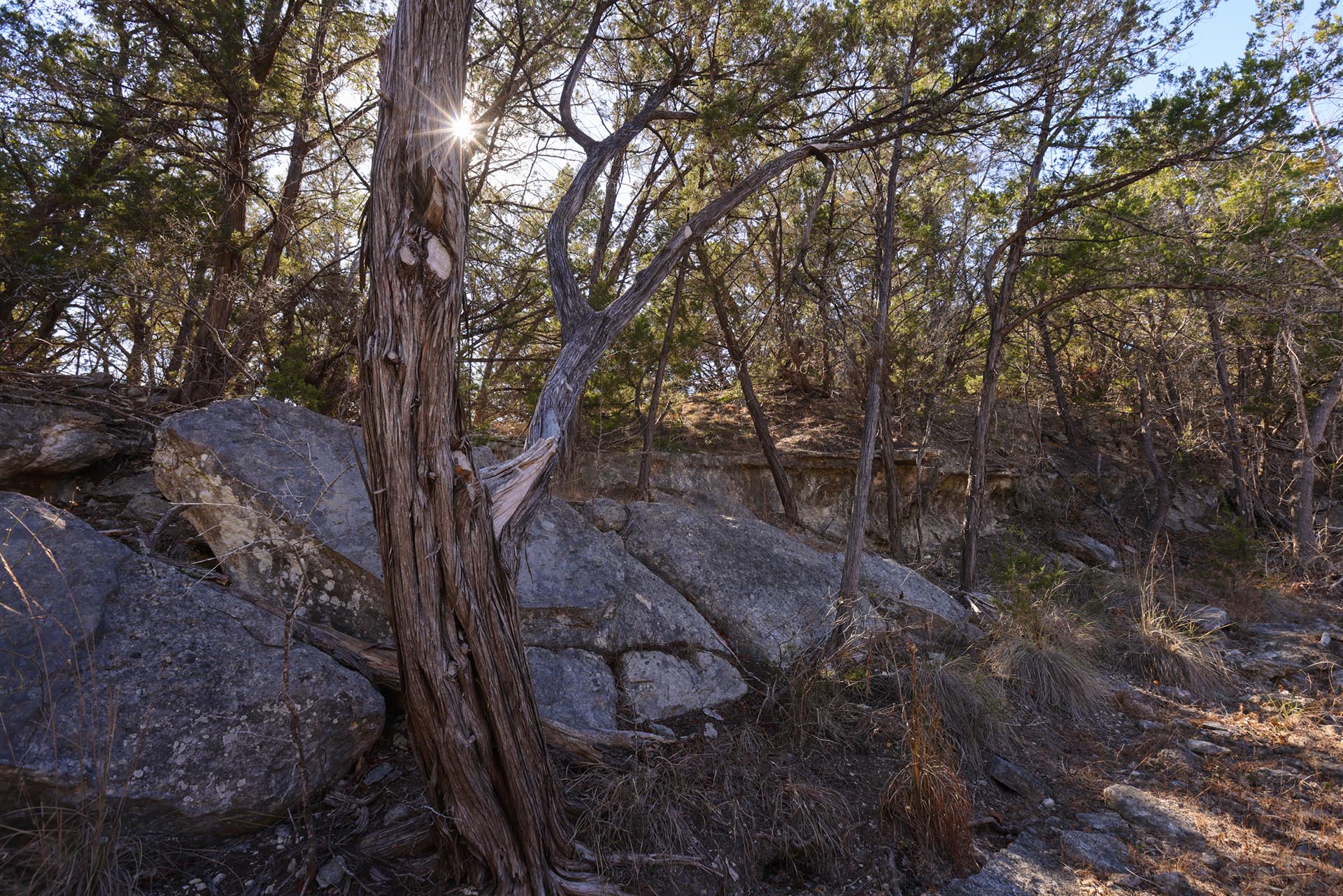 ranch with wildlife in Texas Lone Woman Mountain Ranch