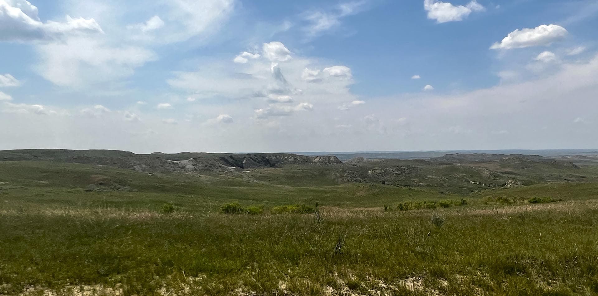 regenerative agriculture montana over the cliff ranch on little porcupine creek