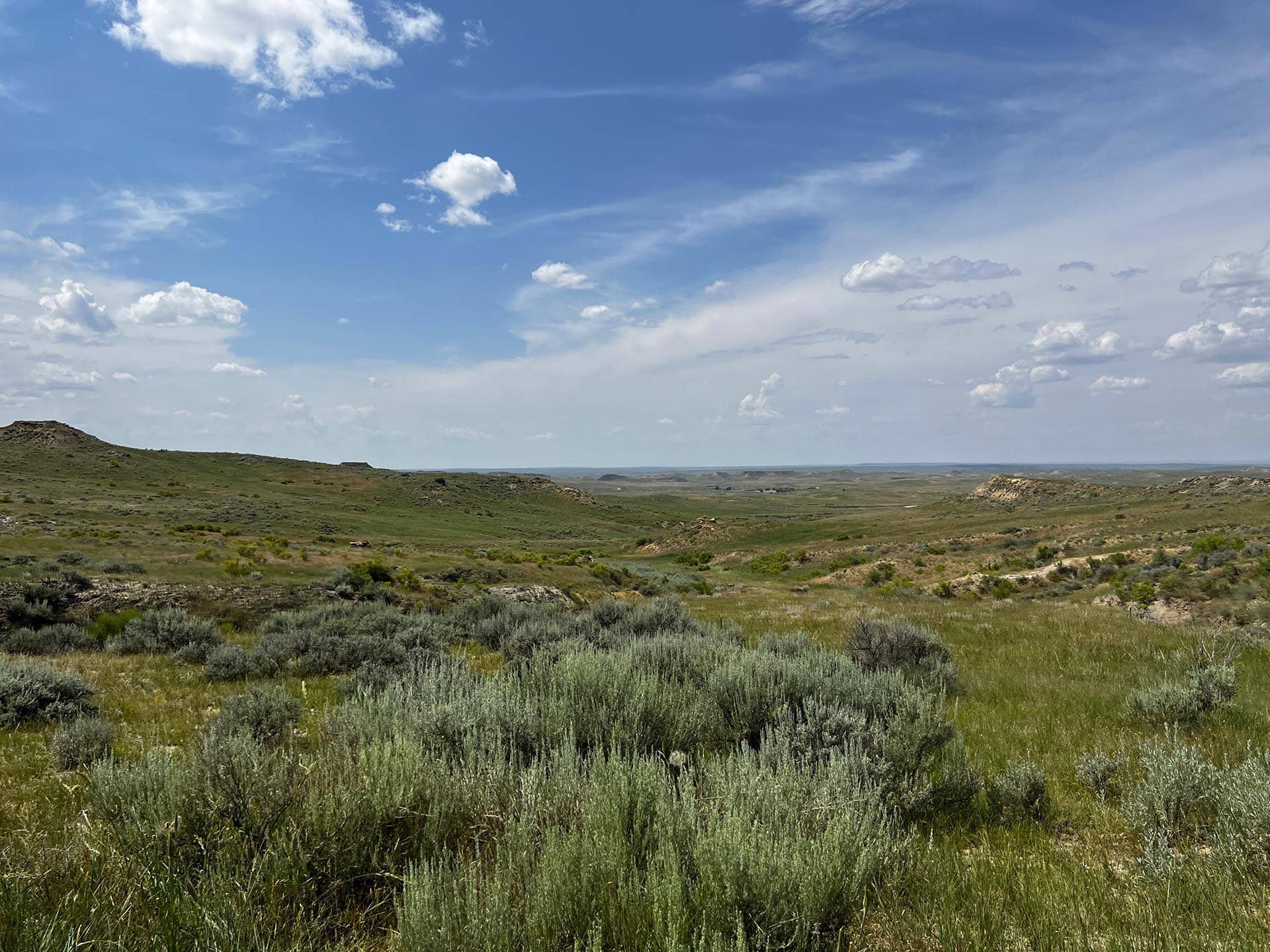rotational grazing montana over the cliff ranch on little porcupine creek