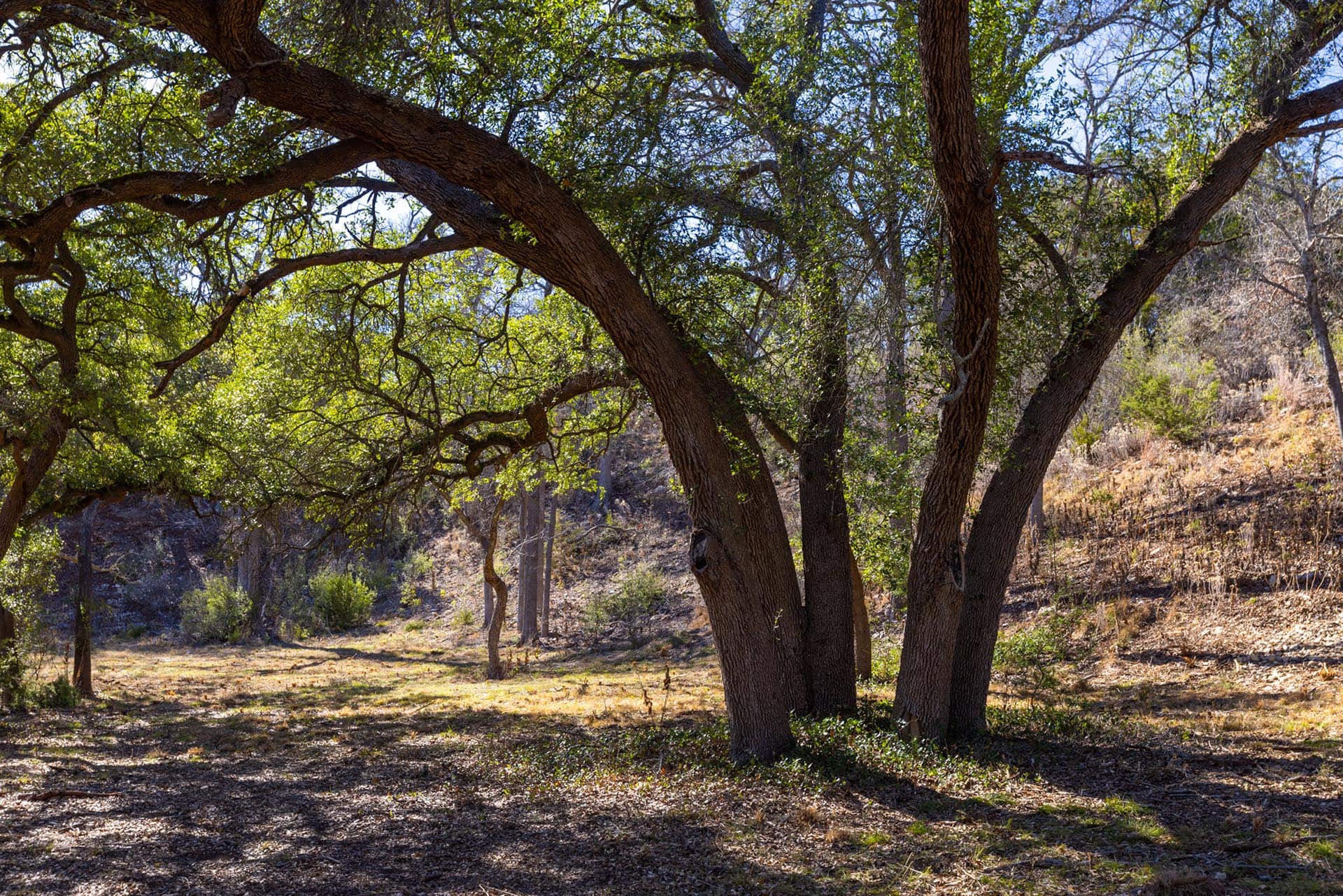 rural Texas ranch retreat Lone Woman Mountain Ranch
