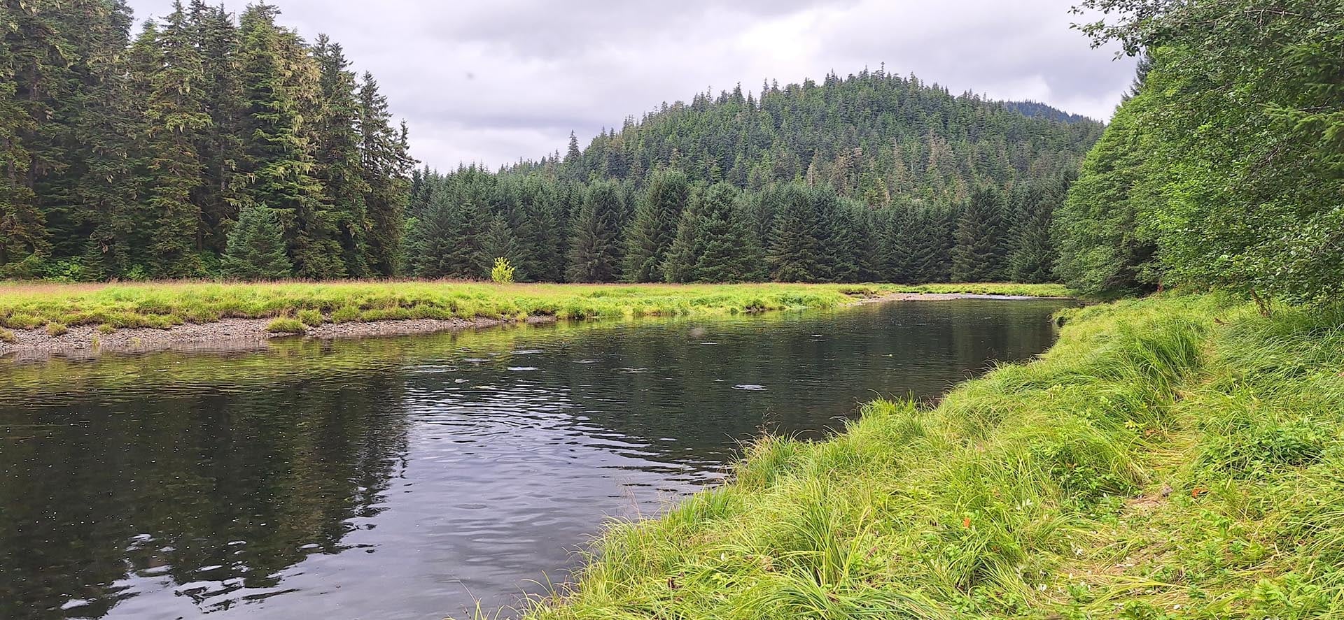 salmon alaska hasselborg homestead