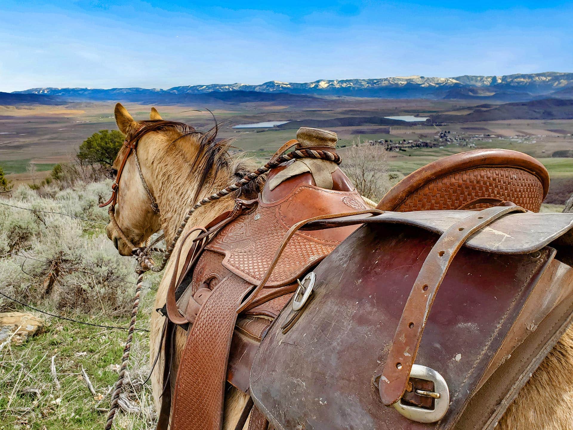 Close-up of a brown leather Western saddle on a horse, with a rope and tack, overlooking a valley and distant snow-capped mountains under a blue sky.
