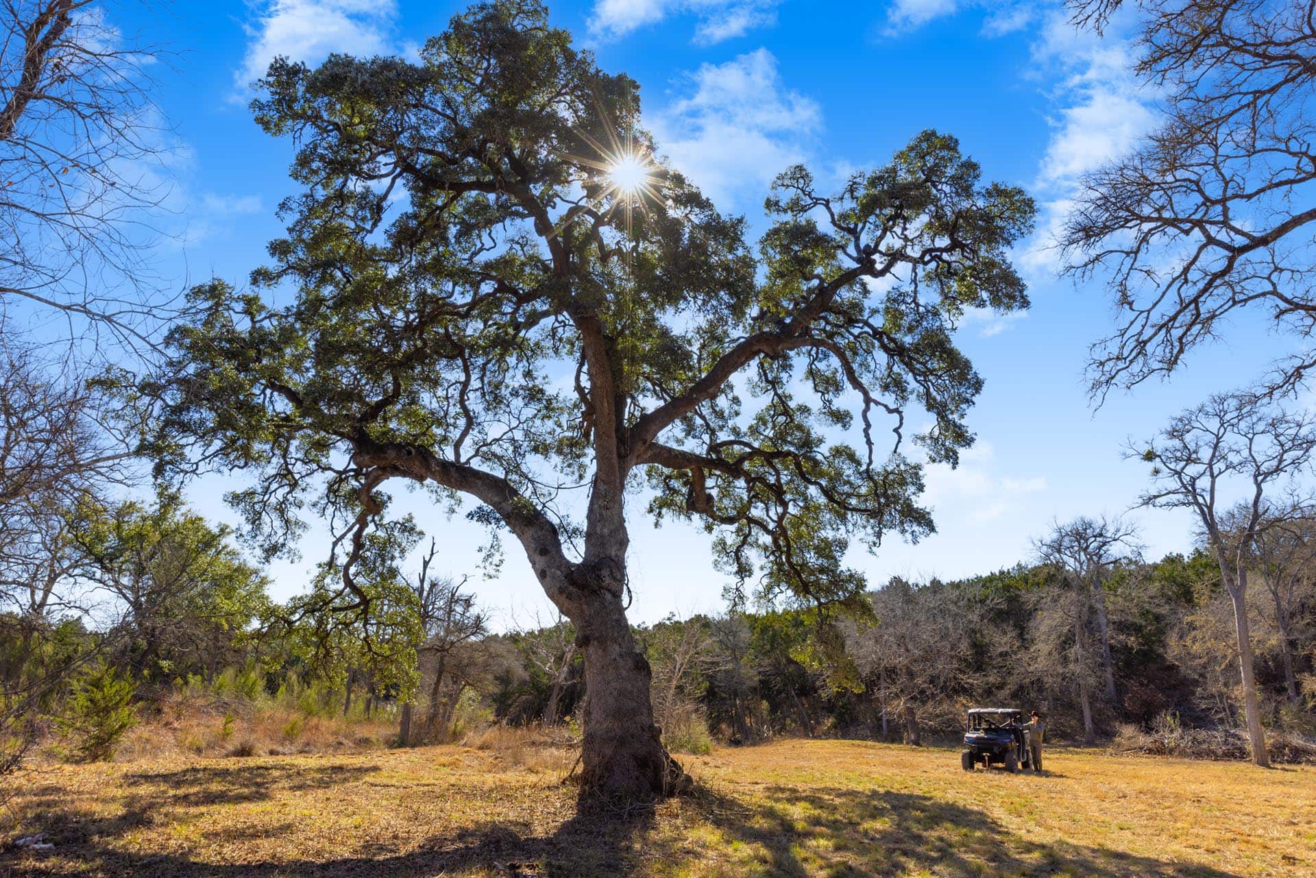 secluded Texas ranch property Lone Woman Mountain Ranch